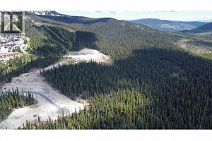 DL4259 Black Forest Road - Photo 8