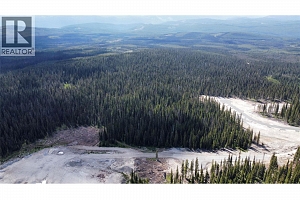 DL4259 Black Forest Road - Photo 9