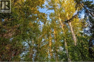 4614 Fuller Road - Photo 25