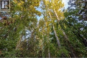 4614 Fuller Road - Photo 7