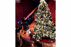 582 Radant Road - Photo 32