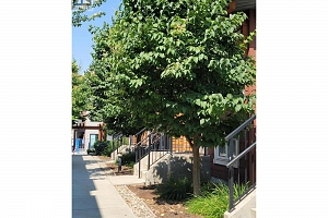 1831 Ambrosi Road Unit# 7 Lot# 17 - Photo 32