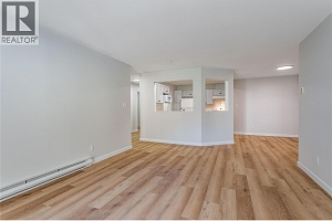 3806 35 Avenue Unit# 309 - Photo 4