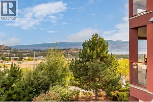 3205 Skyview Lane Unit# 205 - Photo 15