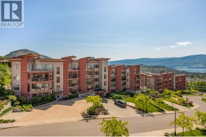 3205 Skyview Lane Unit# 205 - Photo 40