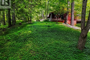 8043 97A Highway - Photo 34