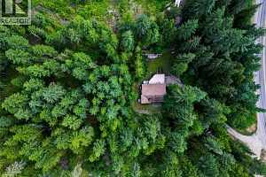 8043 97A Highway - Photo 37