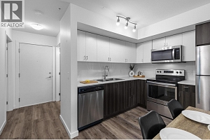 725 Academy Way Unit# 203 - Photo 10