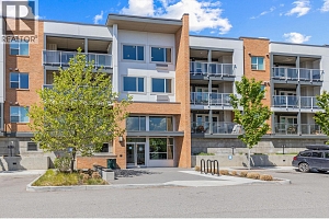 725 Academy Way Unit# 203 - Photo 5