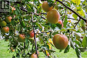 11310 Bond Road - Photo 42