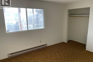 7002 Appaloosa Way - Photo 58