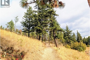 2086 Sunview Drive - Photo 46