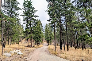 2086 Sunview Drive - Photo 47