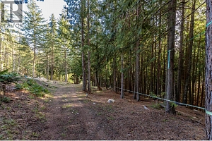 8028 Jackpine Road - Photo 66