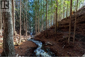 8028 Jackpine Road - Photo 71