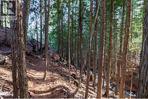 8028 Jackpine Road - Photo 72