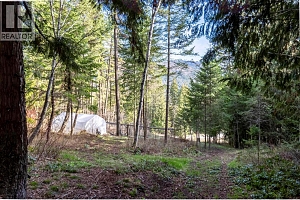 8028 Jackpine Road - Photo 73