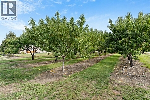 3022 Dunster Road - Photo 44