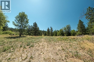 2615 Harvard Road - Photo 62