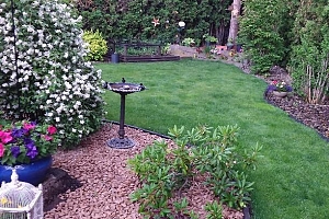 415 Commonwealth Road Unit# 348 - Photo 46