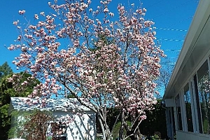 415 Commonwealth Road Unit# 348 - Photo 47