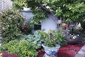 415 Commonwealth Road Unit# 348 - Photo 48