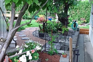 415 Commonwealth Road Unit# 348 - Photo 49