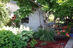 415 Commonwealth Road Unit# 348 - Photo 50