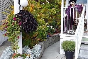 415 Commonwealth Road Unit# 348 - Photo 51