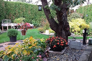 415 Commonwealth Road Unit# 348 - Photo 52