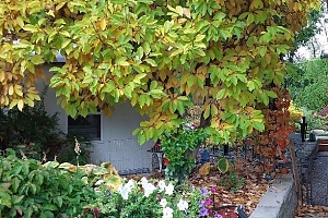 415 Commonwealth Road Unit# 348 - Photo 53