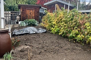 3547 Lakeshore Road - Photo 16