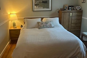 3547 Lakeshore Road - Photo 8