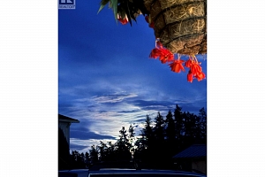 5432 Rochdell Road - Photo 13