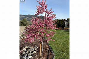 5432 Rochdell Road - Photo 56