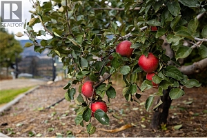 5432 Rochdell Road - Photo 57