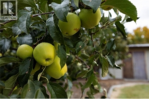 5432 Rochdell Road - Photo 58