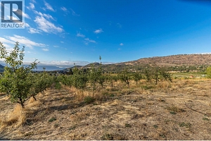 590 Brenda Road - Photo 33