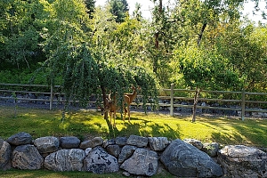 5705 Upper Booth N Road - Photo 12