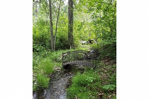 5705 Upper Booth N Road - Photo 79