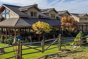 5705 Upper Booth N Road - Photo 8