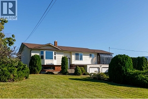 3116 Appaloosa Road - Photo 2