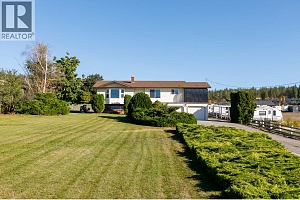 3116 Appaloosa Road - Photo 3