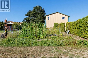 3116 Appaloosa Road - Photo 32