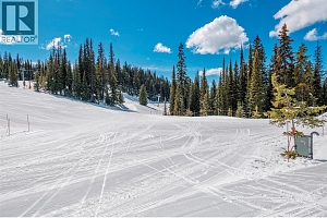 9808 Silver Star Road Unit# 109 - Photo 28