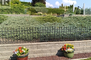 6785 Foothills Drive - Photo 68