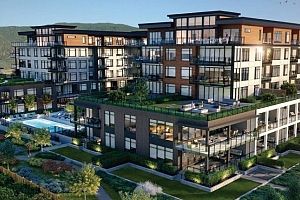 2760 Olalla Road Unit# 307 - Photo 2