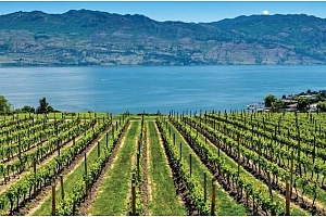 2760 Olalla Road Unit# 307 - Photo 3