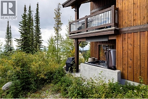 5925 Snow Pines Way Unit# 1 - Photo 14