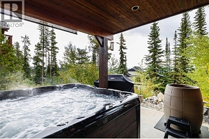 5925 Snow Pines Way Unit# 1 - Photo 17